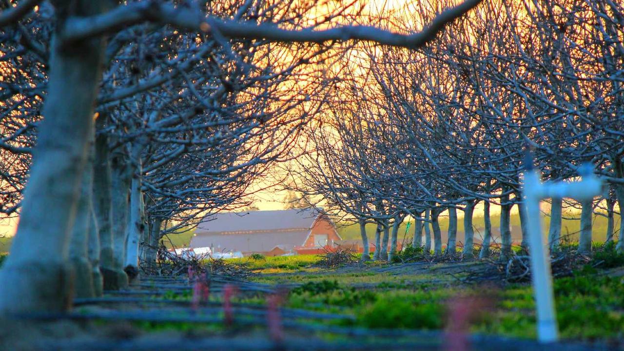 Libero velit non excepturi at molestiae