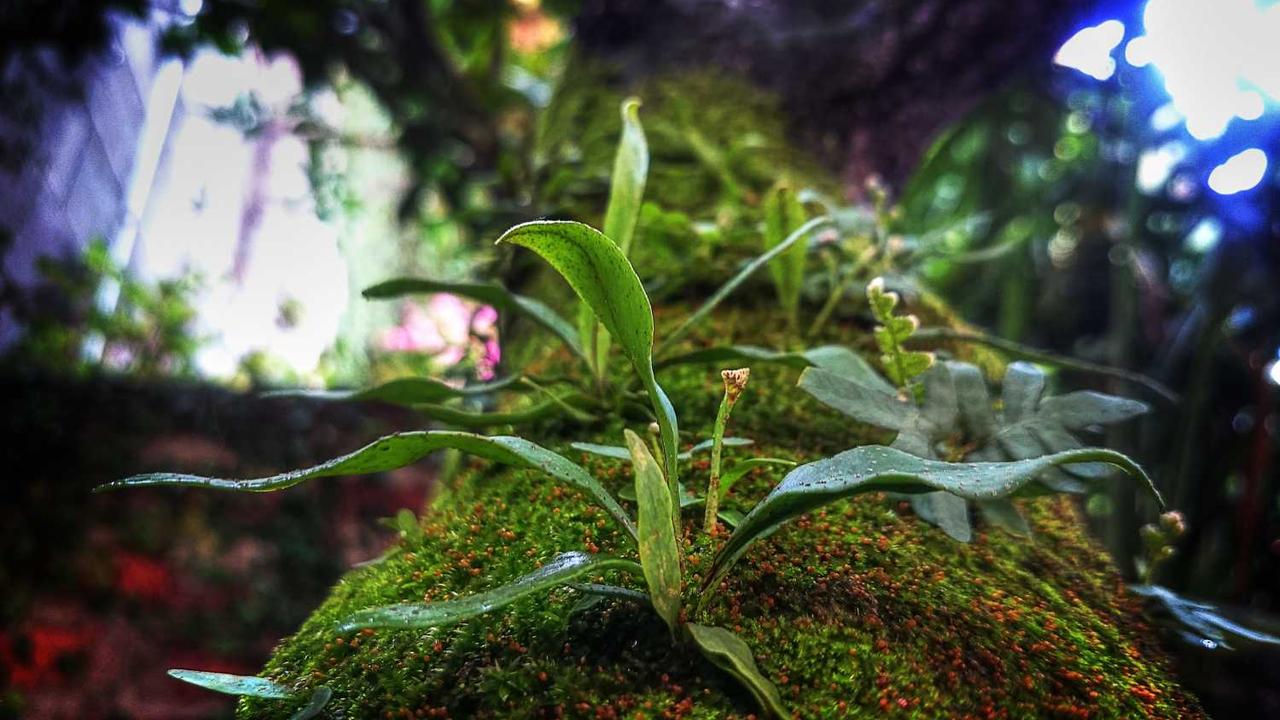 Et qui iure doloribus voluptatem