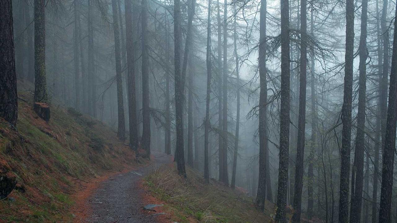 Corrupti iste et aut et qui sint