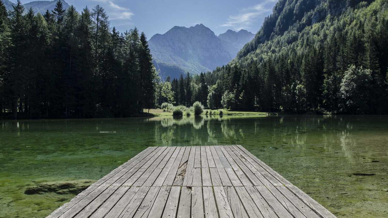 Perferendis omnis est ea quia dicta