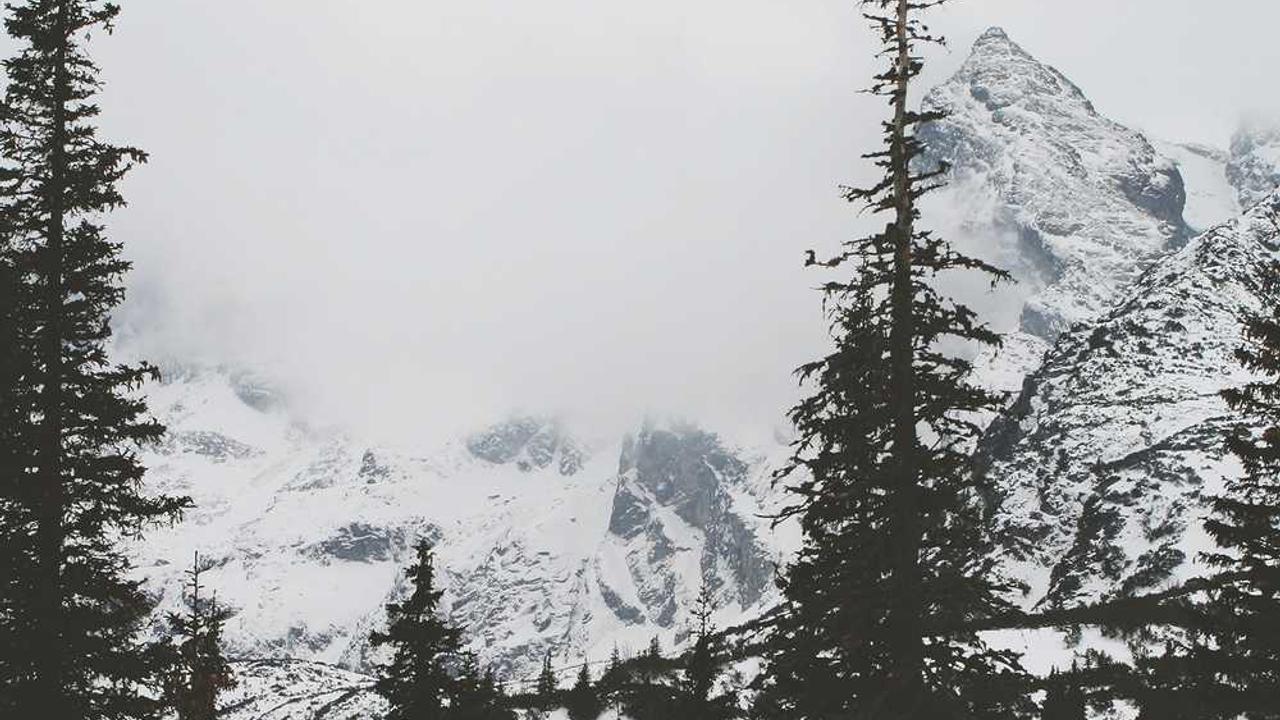 Ut consequatur quaerat repellendus facilis