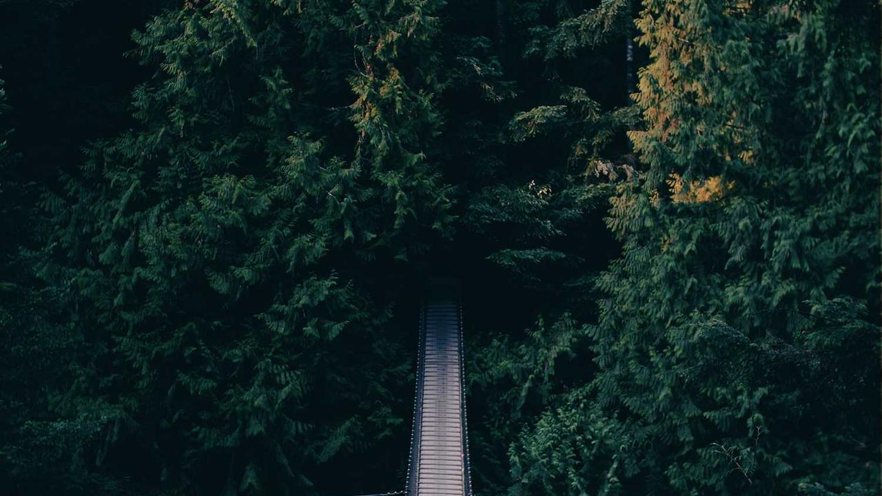 Et modi officiis et tenetur mollitia